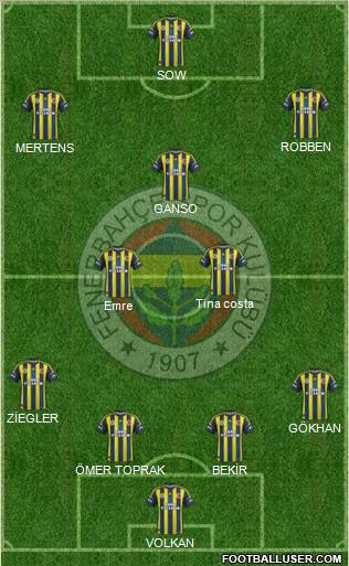 Fenerbahçe SK Formation 2013