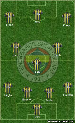 Fenerbahçe SK Formation 2013