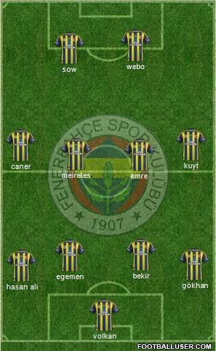Fenerbahçe SK Formation 2013
