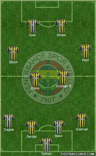 Fenerbahçe SK Formation 2013