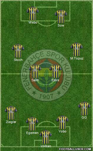 Fenerbahçe SK Formation 2013