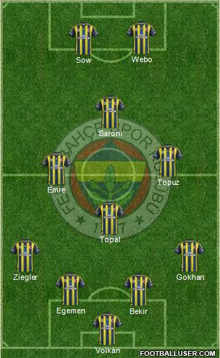Fenerbahçe SK Formation 2013