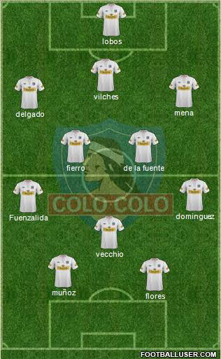 CSD Colo Colo Formation 2013