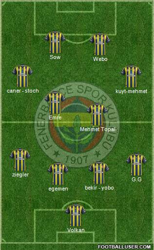 Fenerbahçe SK Formation 2013