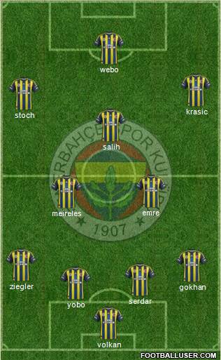 Fenerbahçe SK Formation 2013