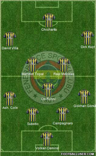 Fenerbahçe SK Formation 2013