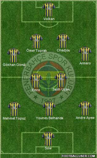 Fenerbahçe SK Formation 2013