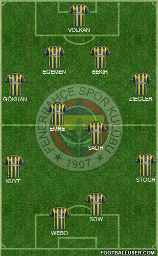 Fenerbahçe SK Formation 2013
