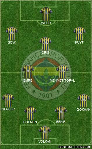 Fenerbahçe SK Formation 2013