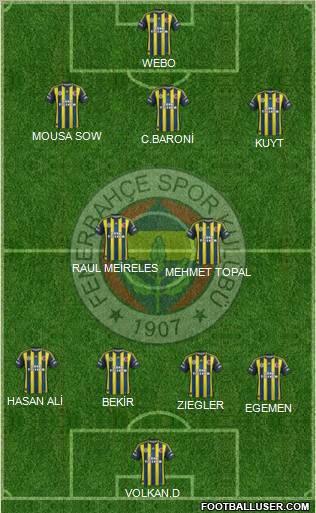 Fenerbahçe SK Formation 2013