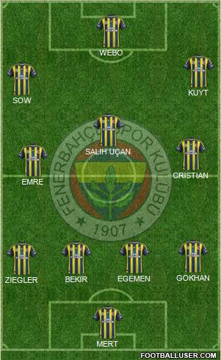 Fenerbahçe SK Formation 2013