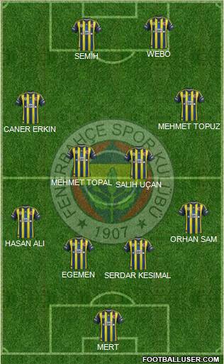 Fenerbahçe SK Formation 2013