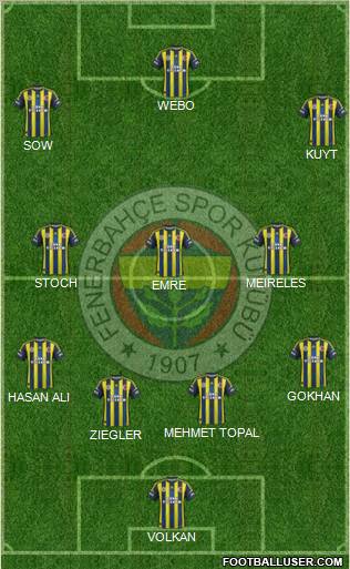 Fenerbahçe SK Formation 2013