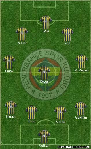 Fenerbahçe SK Formation 2013