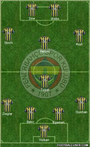 Fenerbahçe SK Formation 2013