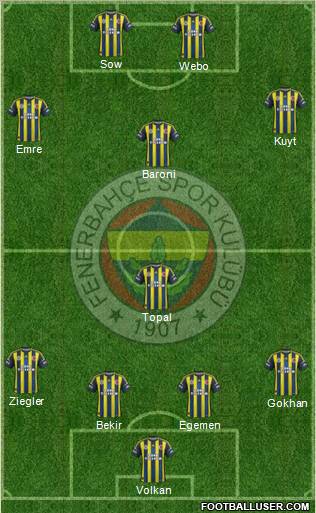Fenerbahçe SK Formation 2013