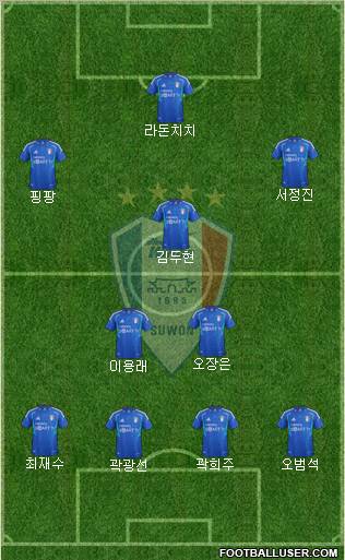 Suwon Samsung Blue Wings Formation 2013