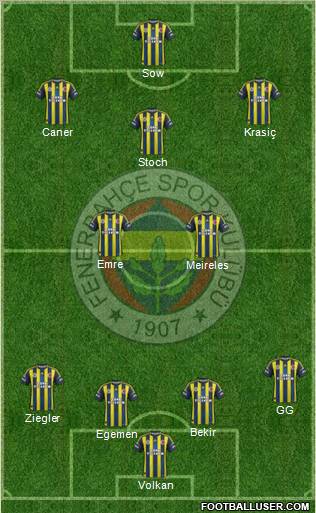 Fenerbahçe SK Formation 2013