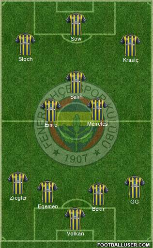 Fenerbahçe SK Formation 2013