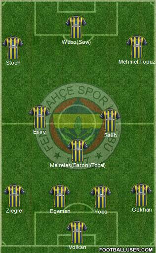 Fenerbahçe SK Formation 2013