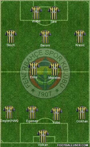 Fenerbahçe SK Formation 2013