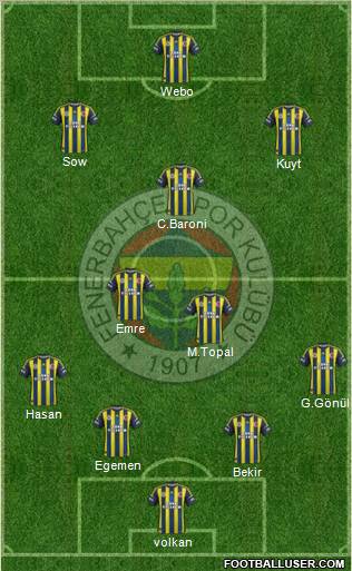 Fenerbahçe SK Formation 2013