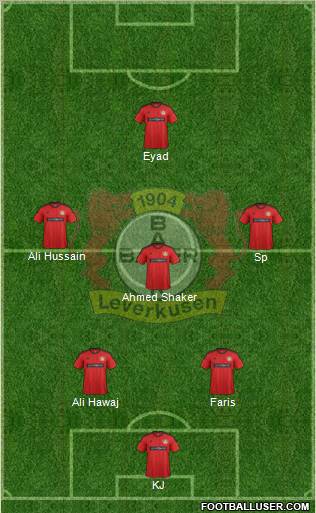 Bayer 04 Leverkusen Formation 2013
