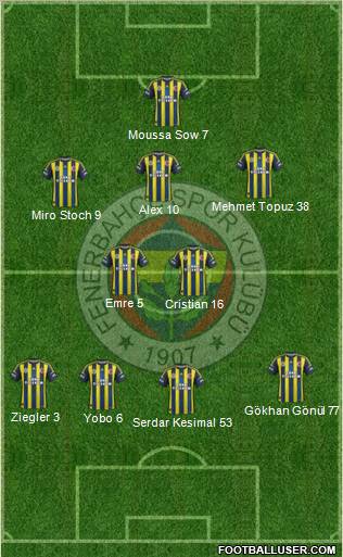 Fenerbahçe SK Formation 2013