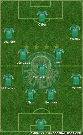 SE Palmeiras Formation 2013