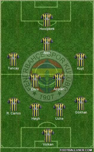 Fenerbahçe SK Formation 2013