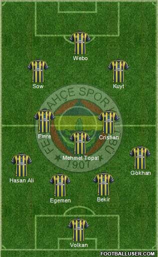 Fenerbahçe SK Formation 2013