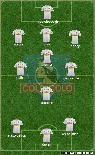 CSD Colo Colo Formation 2013