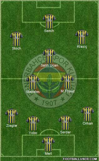 Fenerbahçe SK Formation 2013