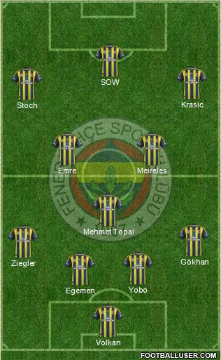 Fenerbahçe SK Formation 2013