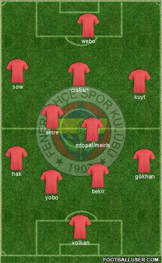Fenerbahçe SK Formation 2013