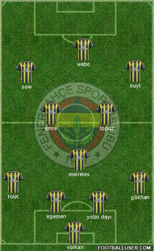 Fenerbahçe SK Formation 2013