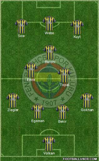 Fenerbahçe SK Formation 2013