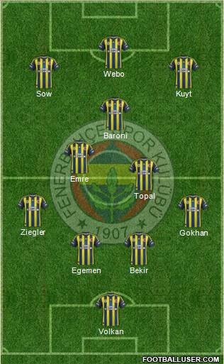 Fenerbahçe SK Formation 2013