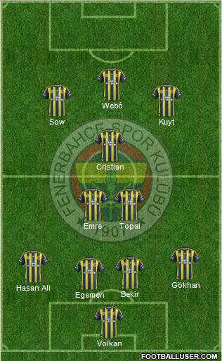 Fenerbahçe SK Formation 2013