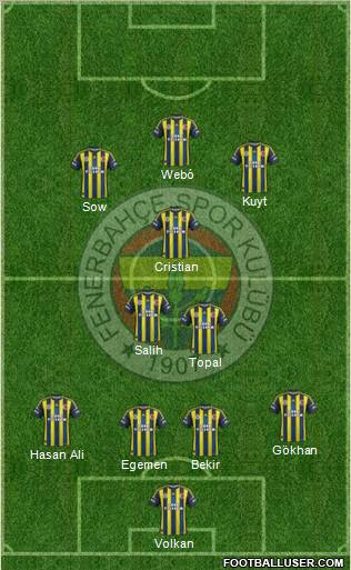 Fenerbahçe SK Formation 2013
