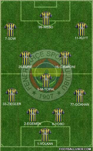 Fenerbahçe SK Formation 2013