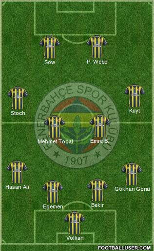 Fenerbahçe SK Formation 2013