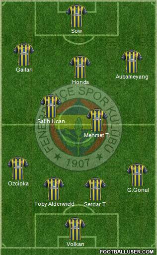 Fenerbahçe SK Formation 2013
