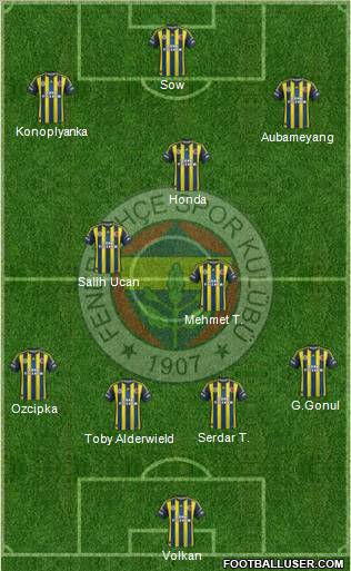 Fenerbahçe SK Formation 2013