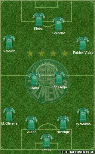 SE Palmeiras Formation 2013