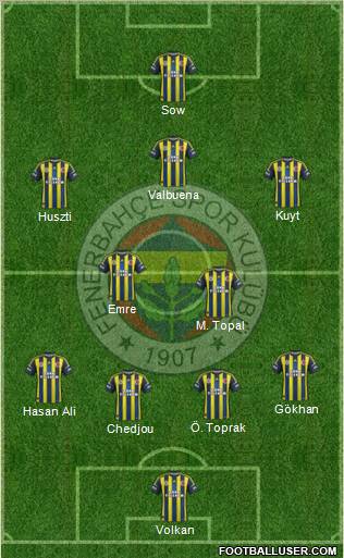 Fenerbahçe SK Formation 2013