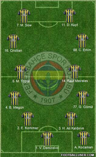 Fenerbahçe SK Formation 2013