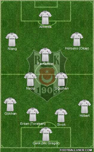 Besiktas JK Formation 2013