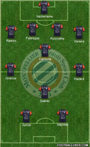 Montpellier Hérault Sport Club Formation 2013