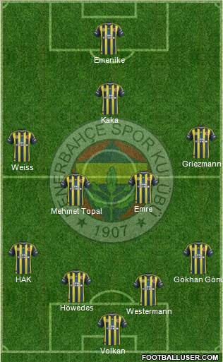 Fenerbahçe SK Formation 2013